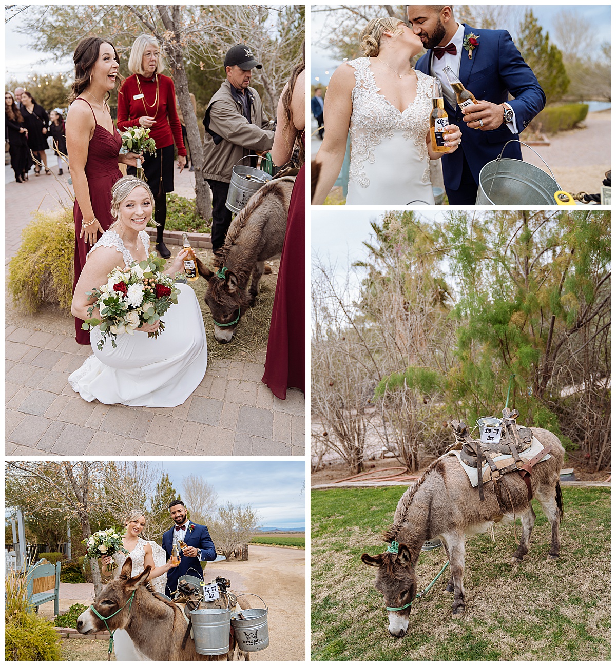 Bride and Groom with Burro