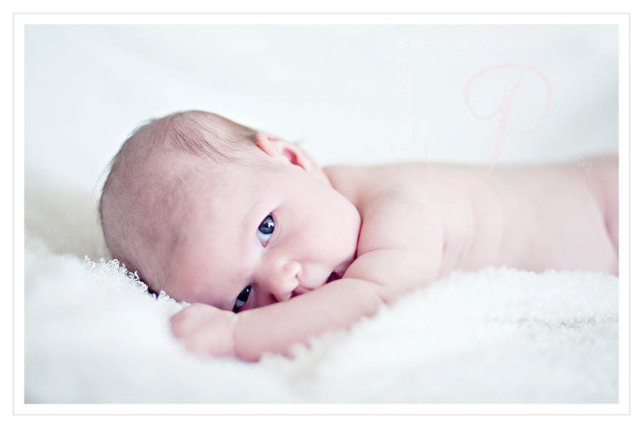 Montana Newborn Photography