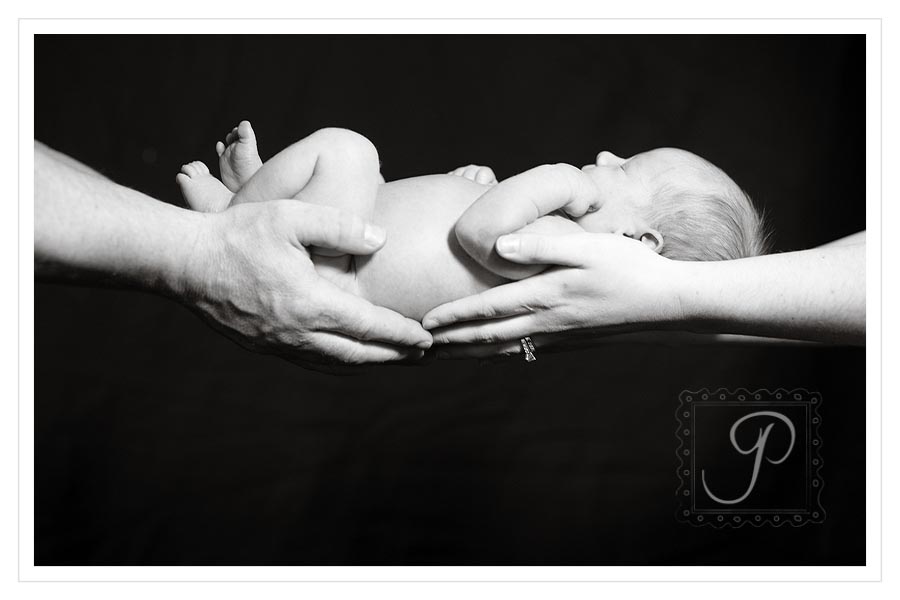 Montana Newborn Photography