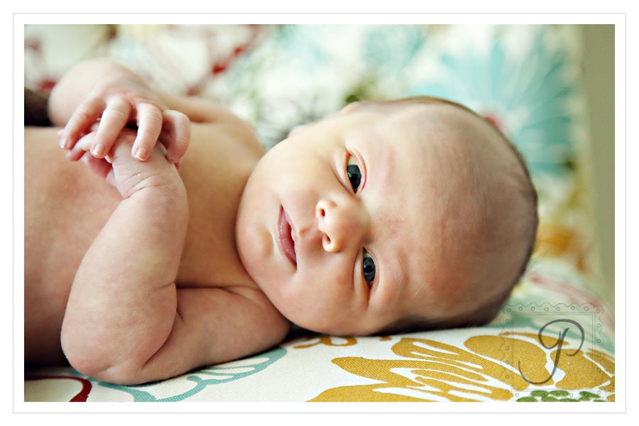 Montana Newborn Photography