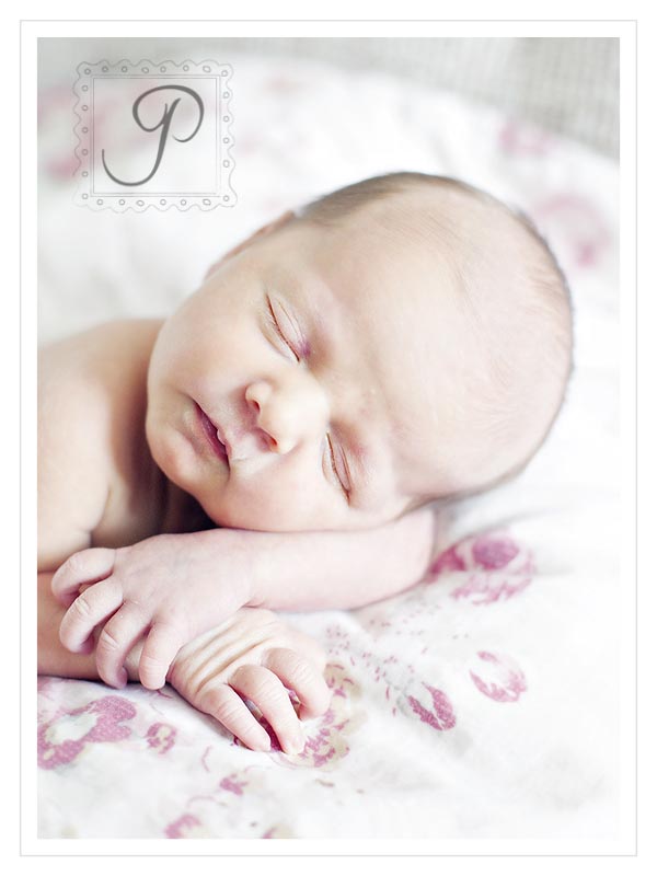 Montana Newborn Photography